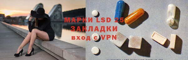 ГАЛЛЮЦИНОГЕННЫЕ ГРИБЫ Алексин