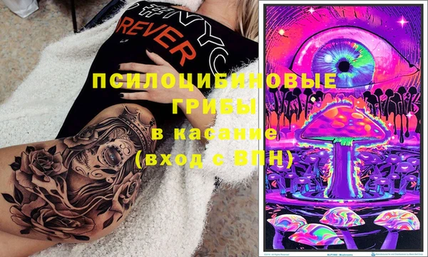 PSILOCYBIN Алексеевка