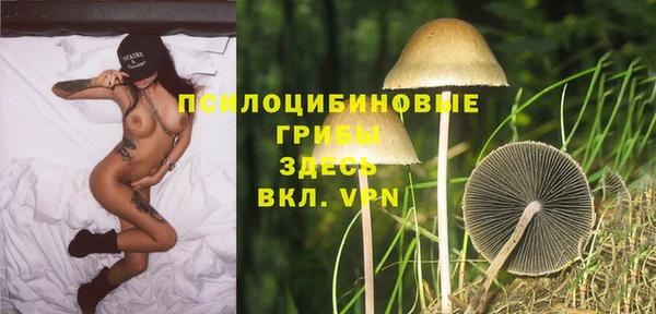 PSILOCYBIN Алексеевка