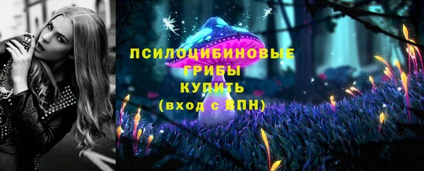 PSILOCYBIN Алексеевка