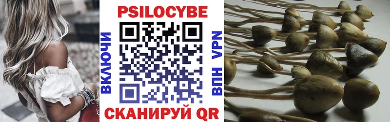 Галлюциногенные грибы Psilocybe  Игарка 